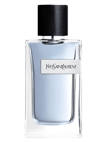 YSL Y EDP 100ml