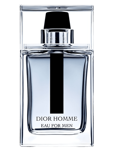Dior Dior Homme EDT 100ml