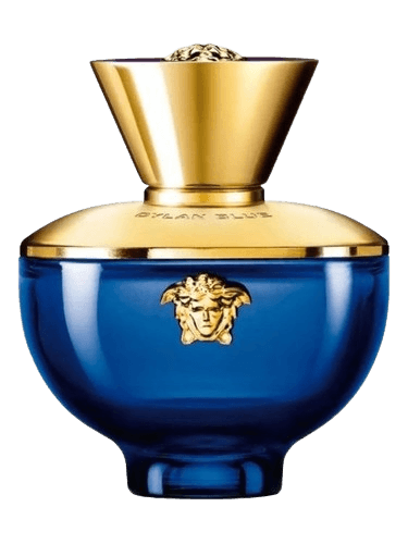 Versace Dylan Blue Pour Femme 100ml